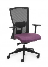 Domino 2 Exec Mesh HB. Arms. Synchro Mech. Seat Slide. Black Base. Black Mesh. Seat Any Colour